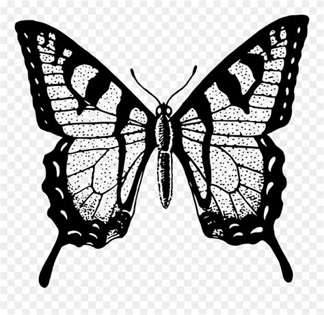 butterflies clipart|butterflies clip art black and white.